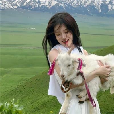 金刀秘卫之婳美人